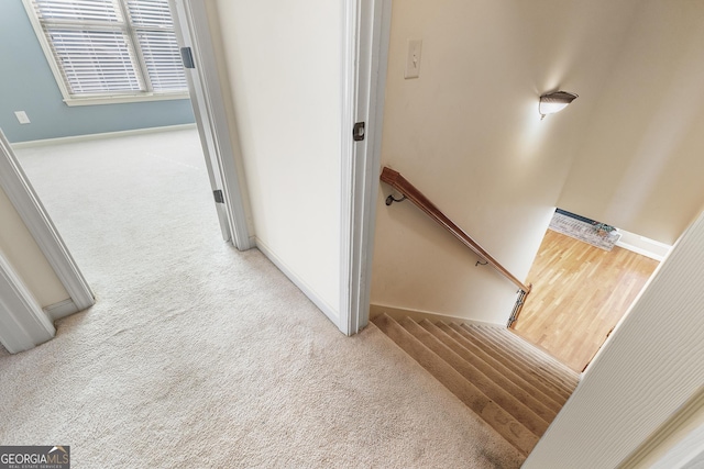 staircase featuring carpet flooring