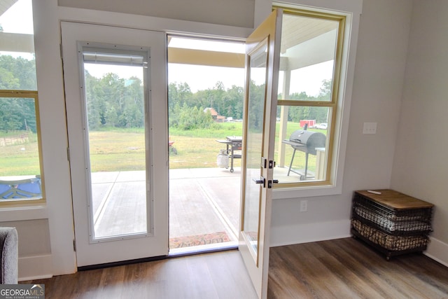 doorway with a wealth of natural light, dark hardwood / wood-style flooring, and french doors