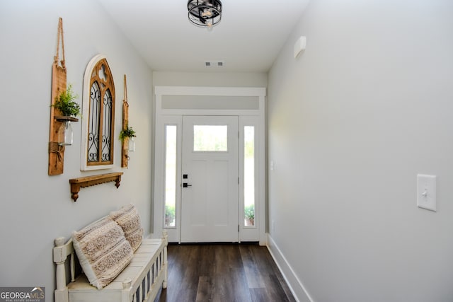 entryway featuring dark wood-type flooring