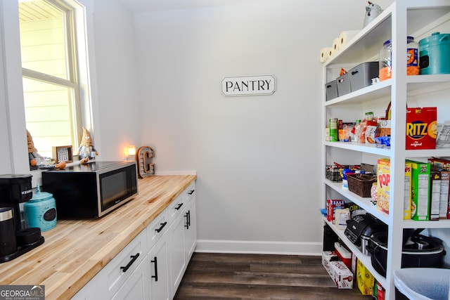 view of pantry