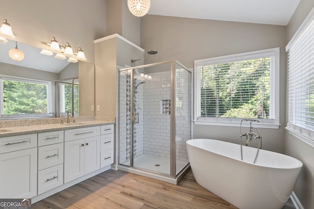 bathroom with plus walk in shower, hardwood / wood-style floors, plenty of natural light, and vanity