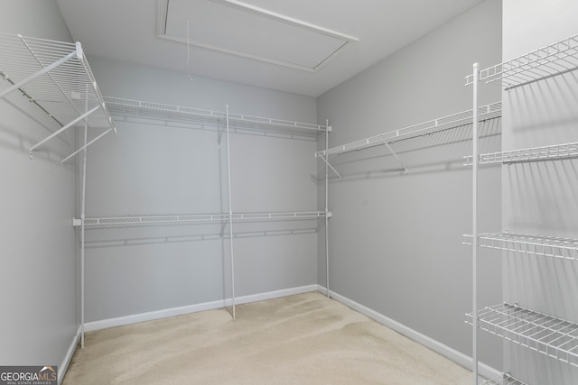 spacious closet with carpet