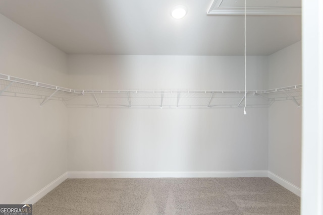 spacious closet with carpet and attic access