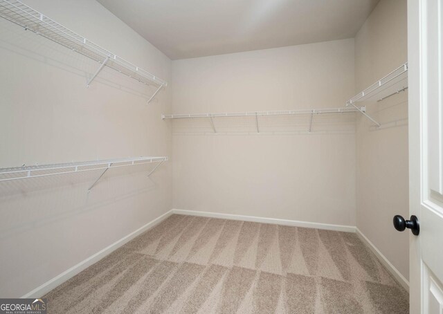 walk in closet with carpet flooring