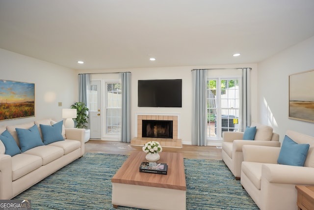 living room featuring wood-type flooring and a fireplace