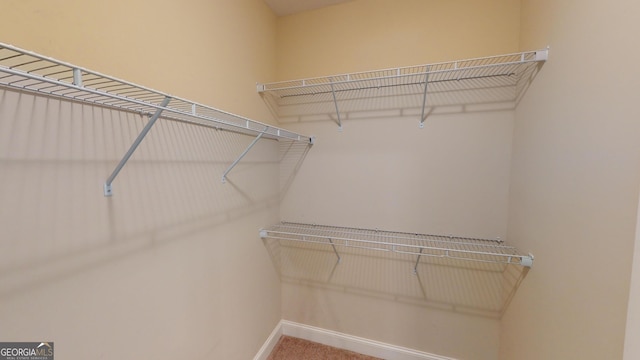 spacious closet featuring carpet floors