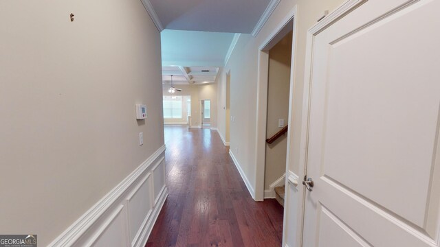 hallway featuring dark wood-type flooring and crown molding