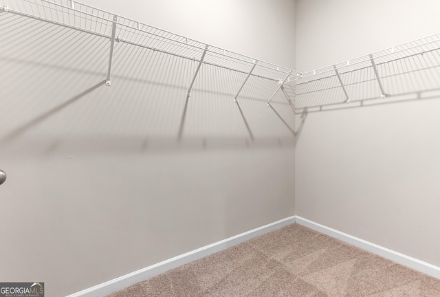 707 Jasmine Dr, Macon, GA 31211 - walk in closet with carpet
