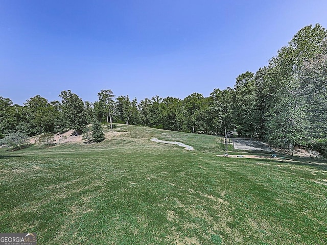 view of home's community with a yard