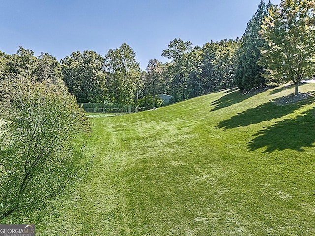 view of grassy yard