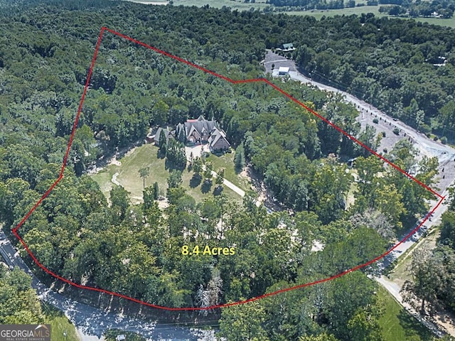 drone / aerial view of a forest
