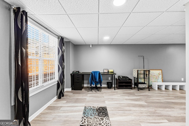 office with light wood-type flooring and a paneled ceiling