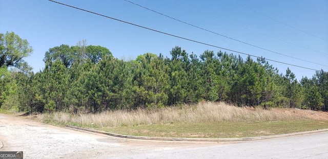 151 W Perennial Dr, Temple, GA 30179