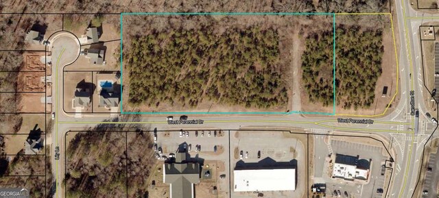 151 W Perennial Dr, Temple, GA 30179