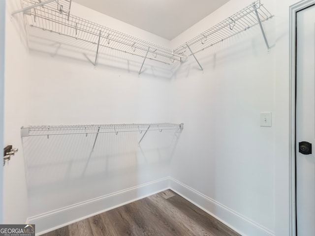 spacious closet featuring hardwood / wood-style floors