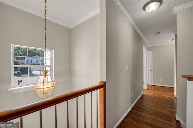 hall featuring dark wood-type flooring, a textured ceiling, and ornamental molding