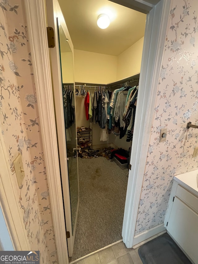 spacious closet with light colored carpet