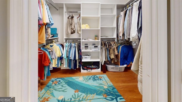 walk in closet featuring wood-type flooring