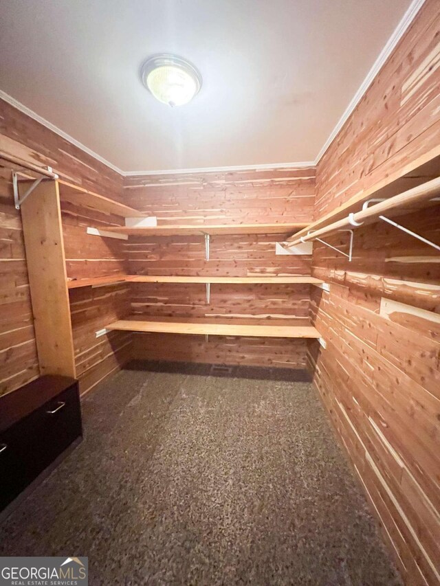 walk in closet featuring carpet