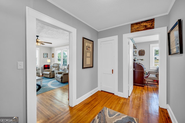 corridor featuring light wood-type flooring, ornamental molding, and a textured ceiling