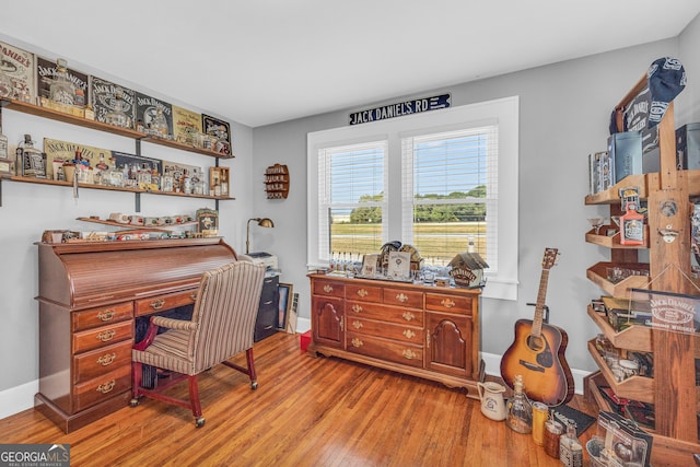 home office featuring hardwood / wood-style flooring