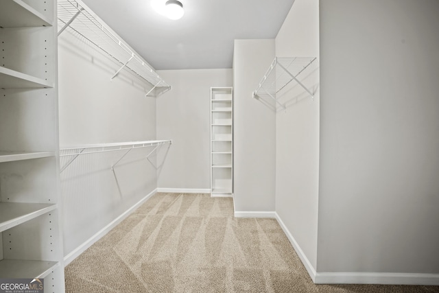 walk in closet with carpet flooring