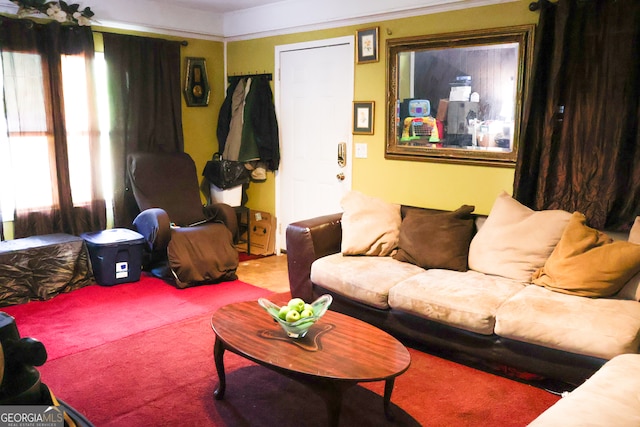 carpeted living room featuring a healthy amount of sunlight