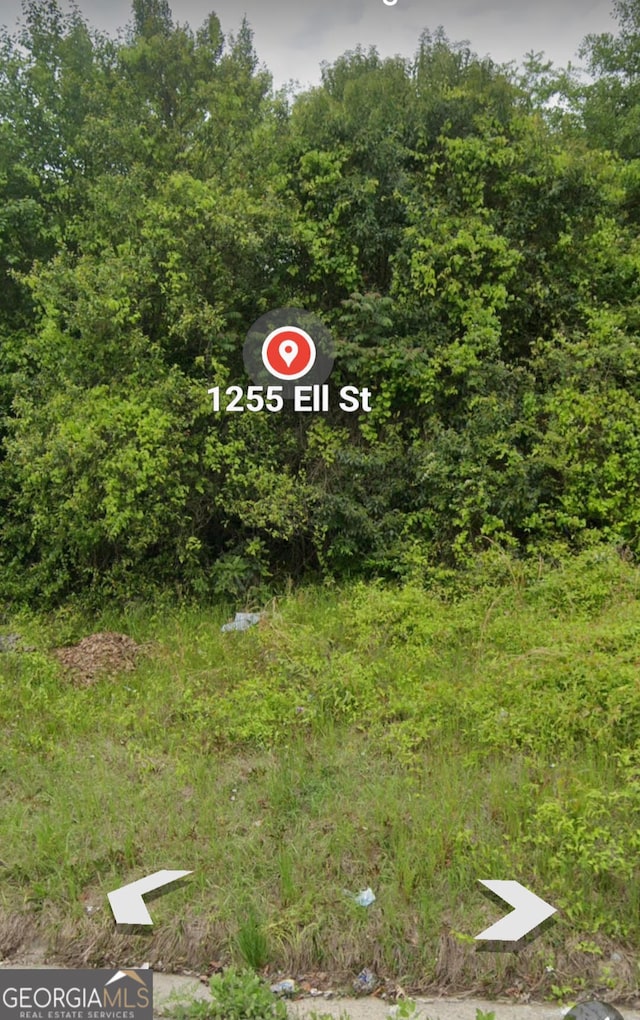 1255 Ell St, Macon GA, 31206 land for sale