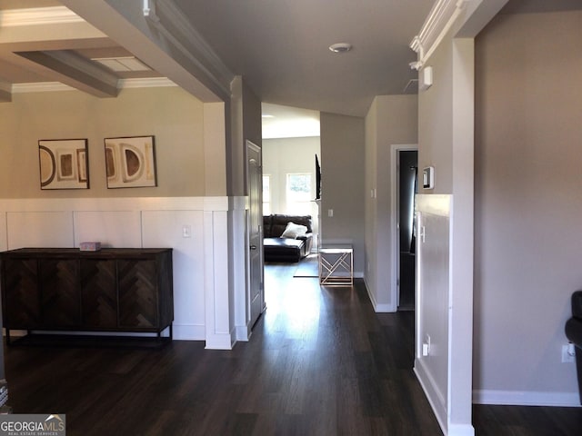 hallway with dark hardwood / wood-style floors and crown molding