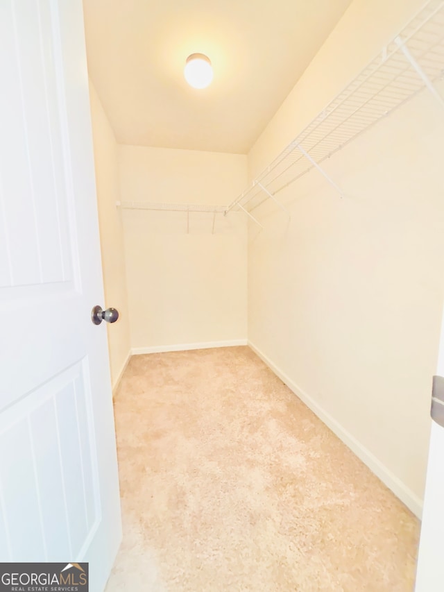 walk in closet with light colored carpet