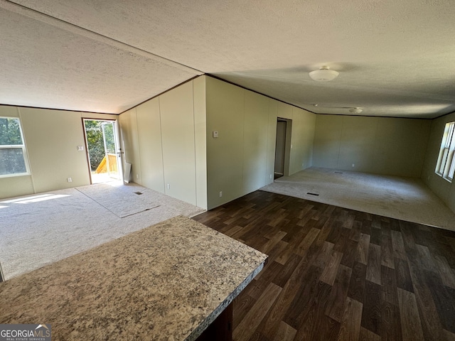 interior space featuring a textured ceiling and dark wood-type flooring