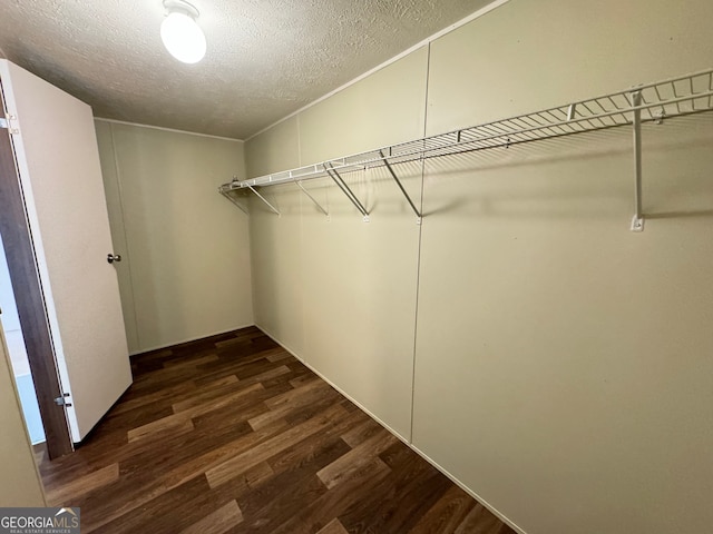 spacious closet featuring dark wood-type flooring