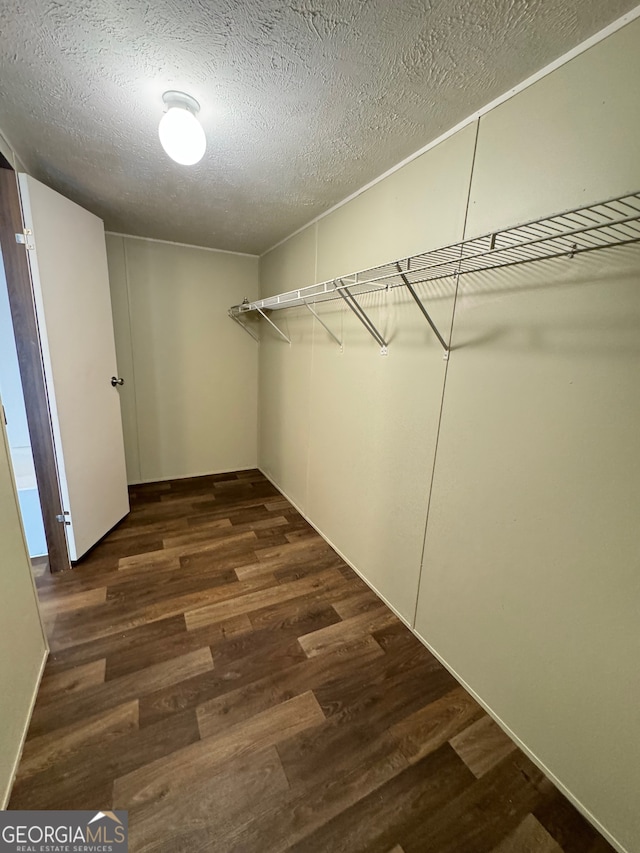 walk in closet with dark hardwood / wood-style flooring