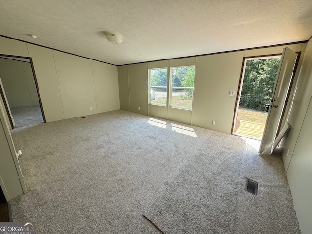 unfurnished bedroom featuring carpet and a textured ceiling