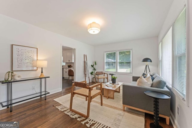 living room featuring hardwood / wood-style flooring