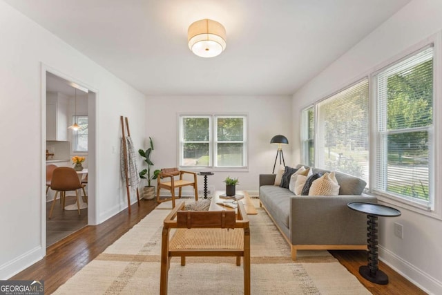 living room featuring wood-type flooring