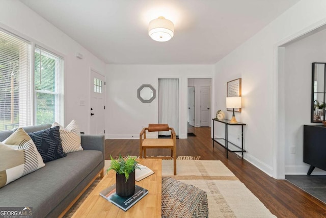 living room featuring dark wood-type flooring