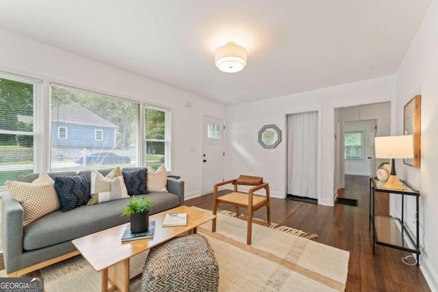 living room featuring dark wood-type flooring