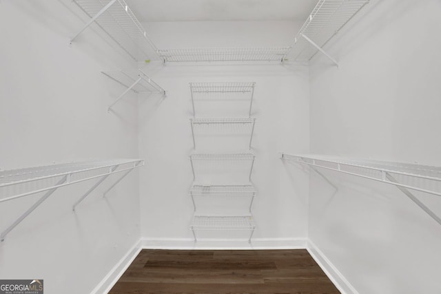 walk in closet with dark wood-type flooring