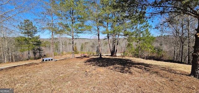 Listing photo 3 for 146 Southern Trce, Toccoa GA 30577