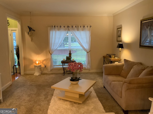 carpeted living room featuring ornamental molding