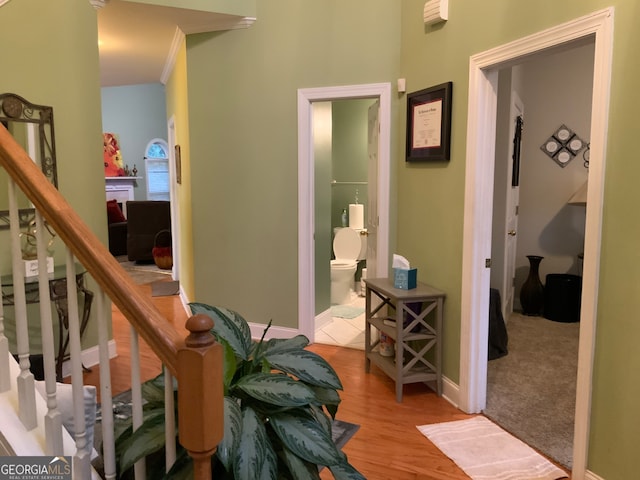 hallway with light wood-type flooring and crown molding