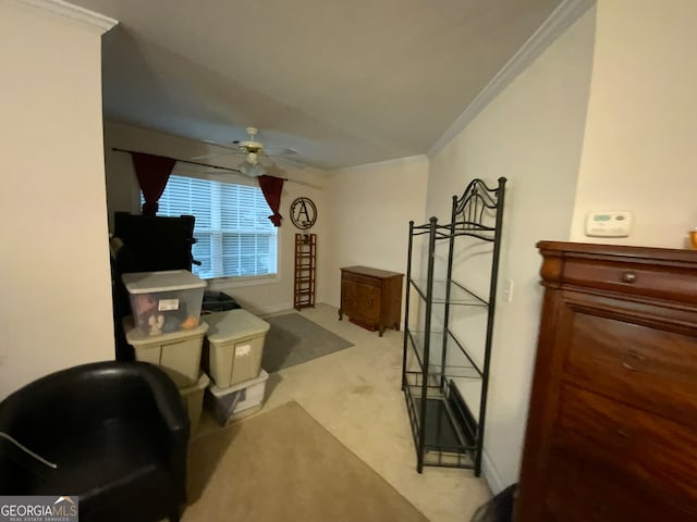 carpeted bedroom with ornamental molding, ceiling fan, and a raised ceiling