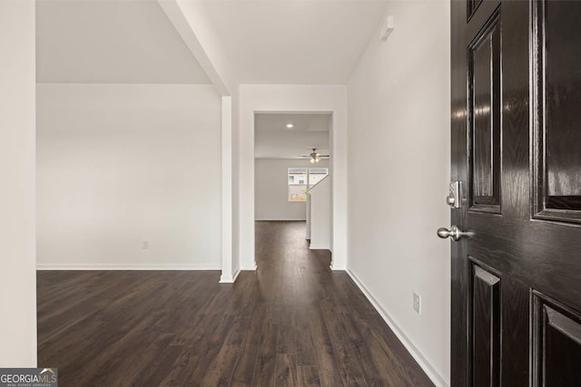 hallway featuring dark hardwood / wood-style floors