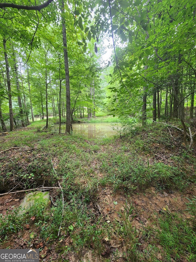 693 Peaceful Ln, Danielsville GA, 30633 land for sale