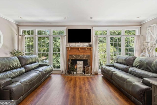 living room featuring crown molding, wood finished floors, and a high end fireplace