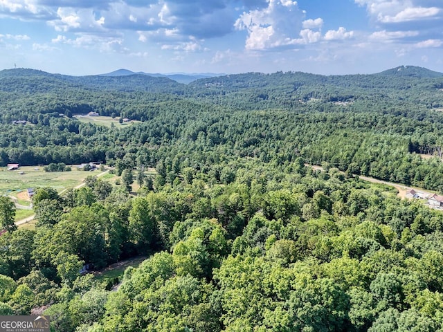 birds eye view of property featuring a mountain view