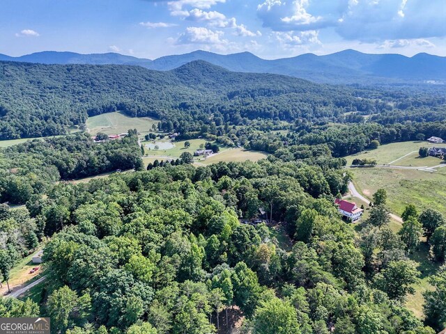 drone / aerial view with a mountain view