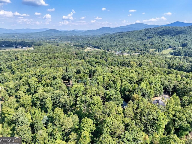 bird's eye view featuring a mountain view