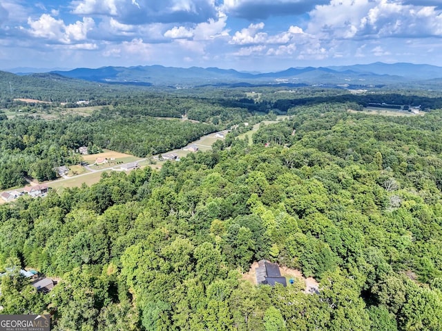 birds eye view of property featuring a mountain view